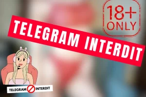 Lire la suite à propos de l’article Telegram Interdit En France