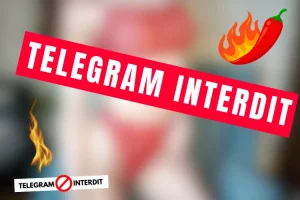 Lire la suite à propos de l’article Les Canaux Telegram Interdit